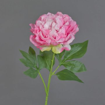 Flor decorativa de peonía CORDOBA, rosa, 55 cm