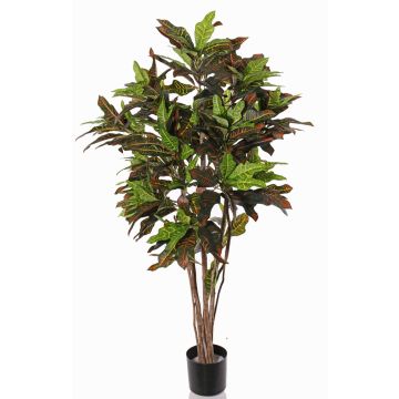 Crotón artificial SHAULA, troncos naturales, verde-rojo, 150cm Crotón artificial SHAULA, troncos naturales, verde-rojo, 150cm