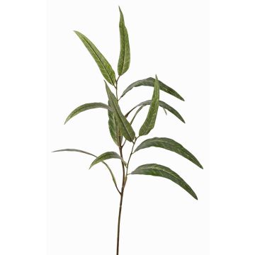 Rama de eucalipto artificial SEMA, verde, 70cm