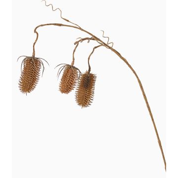 Cardo silvestre artificial LORCAN, marrón claro, 90cm, Ø6-8cm Cardo silvestre artificial LORCAN, marrón claro, 90cm, Ø6-8cm