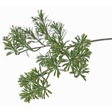 Rama artificial de crossostephium BILBO, zona de tránsito, verde, 45cm Rama artificial de crossostephium BILBO, zona de tránsito, verde, 45cm