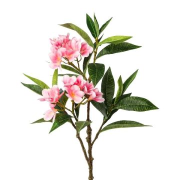 Rama decorativa frangipani DRIFEN, rosa, 110 cm