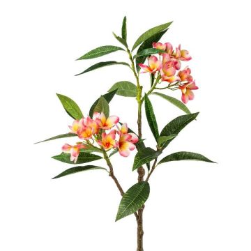 Rama decorativa frangipani DRIFEN, amarillo-rosa, 110 cm