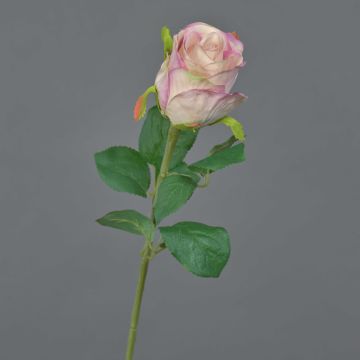 Flor artificial rosa KLONI, rosa, 50 cm