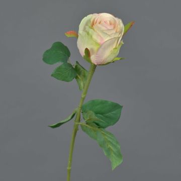 Rosa artificial KLONI, verde-melocotón-rosa, 50cm, Ø5,5cm Rosa artificial KLONI, verde-melocotón-rosa, 50cm, Ø5,5cm