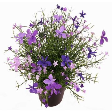 Flor decorativa impatiens GISINDA en maceta decorativa, lila-lila claro, 25cm