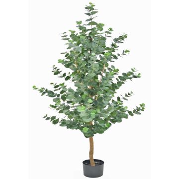 Árbol de eucalipto artificial WEONFYN, tronco artificial, verde, 180cm Árbol de eucalipto artificial WEONFYN, tronco artificial, verde, 180cm