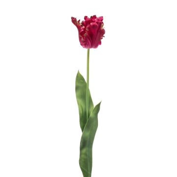 Tulipán decorativo tipo loro LUNIA, fucsia, 70cm