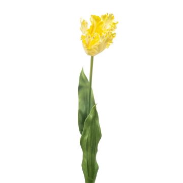 Tulipán decorativo tipo loro LUNIA, amarillo claro, 70cm