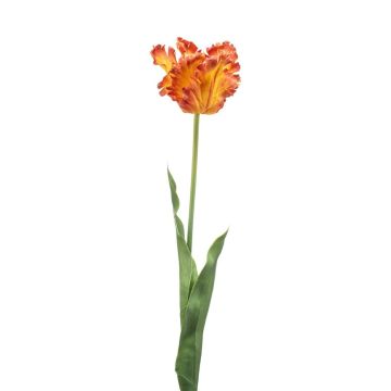 Tulipán decorativo tipo loro LUNIA, naranja-amarillo, 70cm