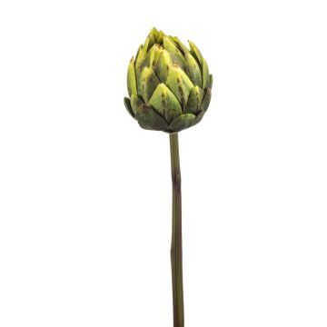 Verdura artificial alcachofa ARIGATO, verde, 60cm Verdura artificial alcachofa ARIGATO, verde, 60cm