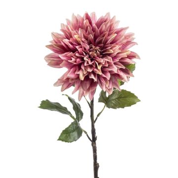 Flor decorativa dalia JESKA, rosa antiguo, 65 cm Flor decorativa dalia JESKA, rosa antiguo, 65 cm