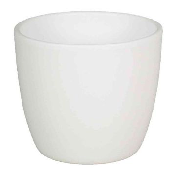 Macetero de cerámica para plantas pequeñas TEHERAN BASAR, blanco-mate, 6,5cm, Ø8,5cm