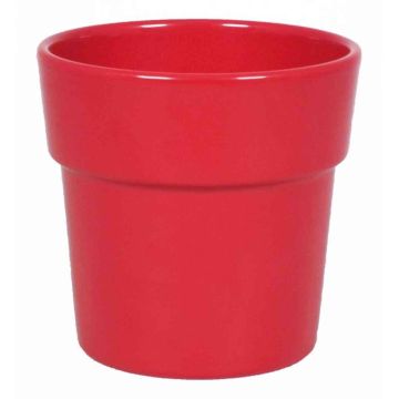 Macetero para orquídeas MARIVAN, cerámica, con borde, rojo, 12,5cm, Ø13,5cm Macetero para orquídeas MARIVAN, cerámica, con borde, rojo, 12,5cm, Ø13,5cm