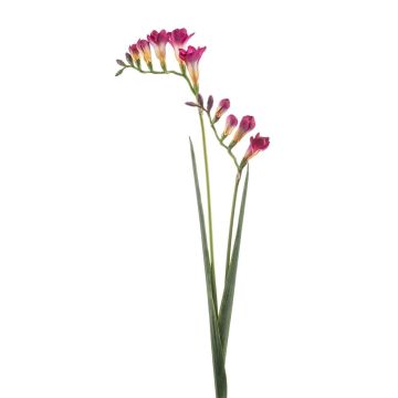 Rama artificial de fresia SVERINA, rosa, 80 cm Rama artificial de fresia SVERINA, rosa, 80 cm