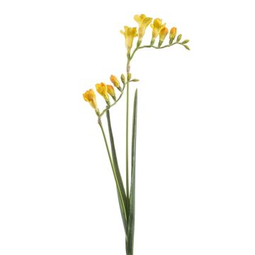 Rama artificial de fresia SVERINA, amarilla, 80 cm Rama artificial de fresia SVERINA, amarilla, 80 cm