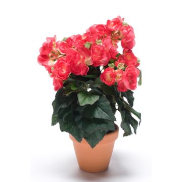 Begonia artificial CATINKA en maceta de terracota, rosa, 30cm