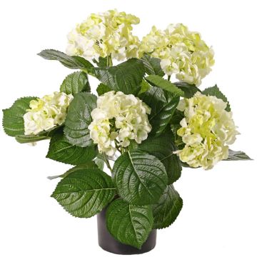 Hortensia sintética TEMARI, crema-verde, 40cm, Ø10-12cm