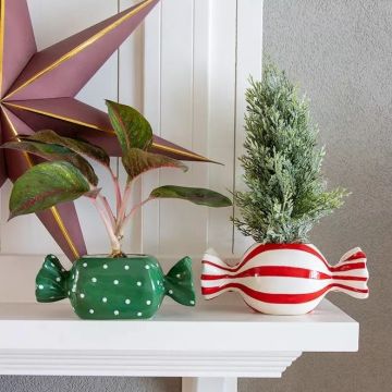 Navidad sencilla, envuelta con dulzura