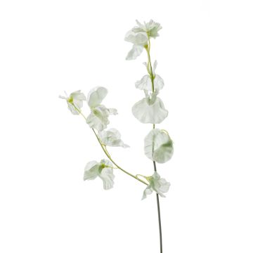 Lathyrus artificial VICENZO, verde-blanco, 50cm