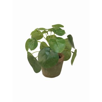Planta china del dinero artificial SYBIL en maceta de terracota, verde, 13cm