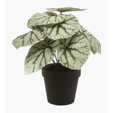 Begonia rex artificial MEIRA, verde-gris, 25cm