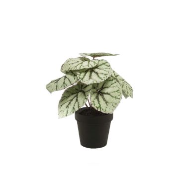 Begonia rex artificial MEIRA, verde-gris, 25cm