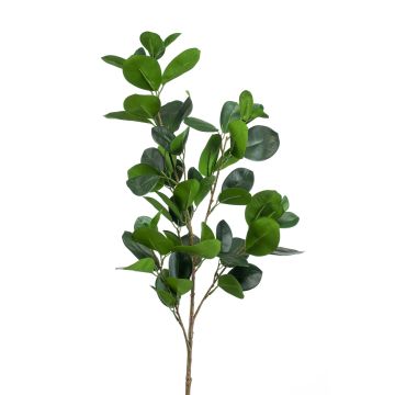 Rama falsa de ficus panda BANDE, verde, 90cm Rama falsa de ficus panda BANDE, verde, 90cm