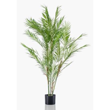 Palmera chamaedorea elegans de plástico REDOVAN, 120cm