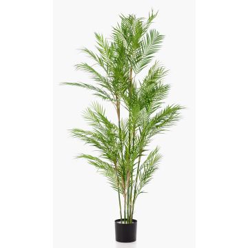 Palmera chamaedorea elegans de plástico REDOVAN, 180cm