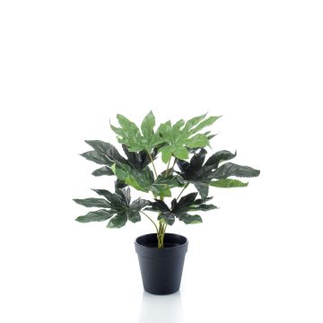 Aralia artificial TEULADA, verde, 30cm