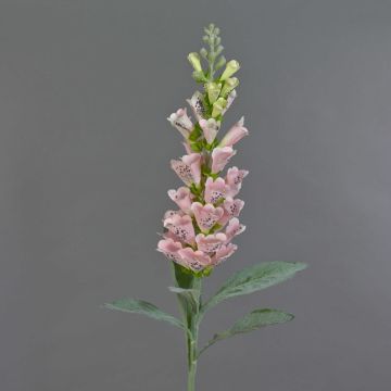 Digitalis decorativo LOBEIRA, rosa, 90cm