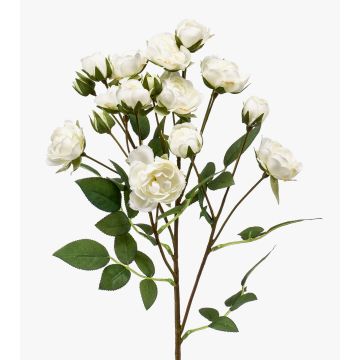 Rama de rosas falsas TOSSA, blanco, 55 cm