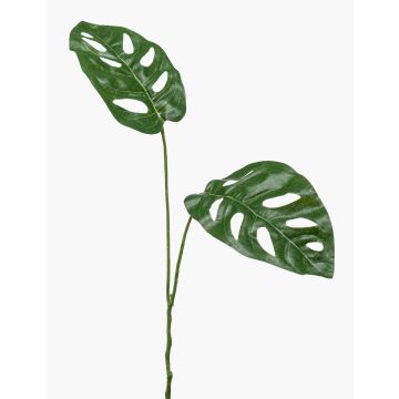 Rama falsa de filodendro monstera deliciosa FESTIM, 50cm Rama falsa de filodendro monstera deliciosa FESTIM, 50cm
