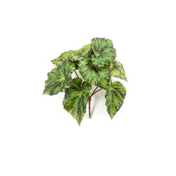 Begonia rex artificial MEIRA en varilla de ajuste, verde-negro, 25cm