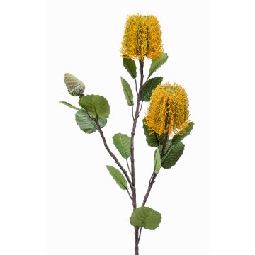 Banksia artificial CONAKIR, amarillo, 70cm