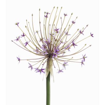 Allium de plástico GETARIA, lila, 105 cm