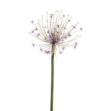 Allium de plástico GETARIA, lila, 105 cm