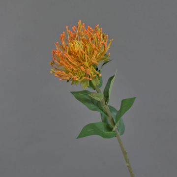 Protea decorativa HERVAS, naranja, 70cm Protea decorativa HERVAS, naranja, 70cm
