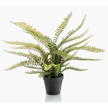 Helecho espada artificial MAURICE, verde, 55cm Helecho espada artificial MAURICE, verde, 55cm