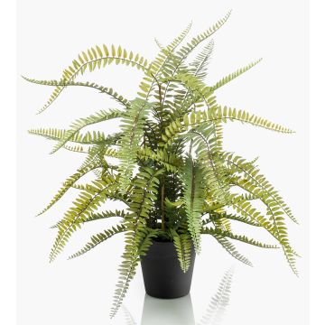 Helecho espada artificial MAURICE, verde, 70cm