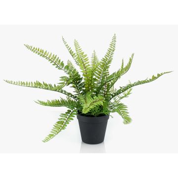 Helecho de Boston decorativo MONTANES, verde, 35cm Helecho de Boston decorativo MONTANES, verde, 35cm