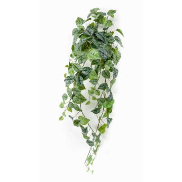 Hypoestes phyllostachya artificial ALANGE en varilla de ajuste, verde-blanco, 90cm