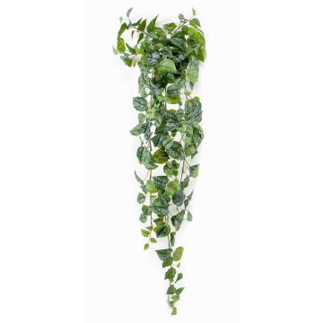 Hypoestes phyllostachya artificial ALANGE en varilla de ajuste, verde-blanco, 120cm
