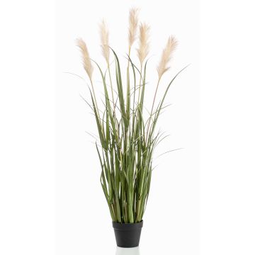 Hierba de la pampa decorativa ALCANTARA con panículas, verde, 130cm