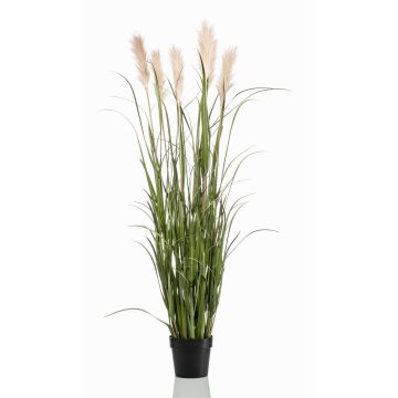 Hierba de la pampa decorativa ALCANTARA con panículas, verde, 160cm