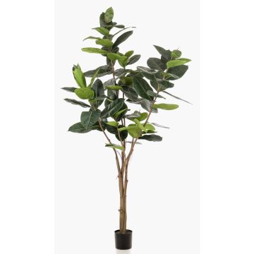 Árbol artificial de ficus elastica FERIA, tronco artificial, verde, 210cm