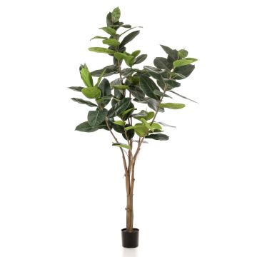 Árbol artificial de ficus elastica FERIA, tronco artificial, verde, 210cm Árbol artificial de ficus elastica FERIA, tronco artificial, verde, 210cm