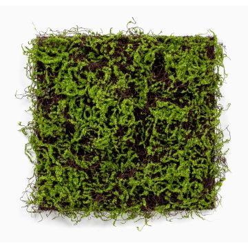 Estera de musgo artificial MIRANDILA, verde, 50x50cm