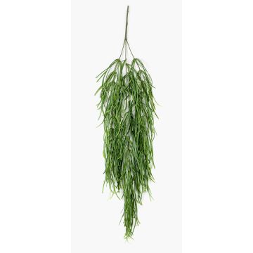 Planta colgante de rhipsalis falso TALIGA en varilla de ajuste, verde, 80cm